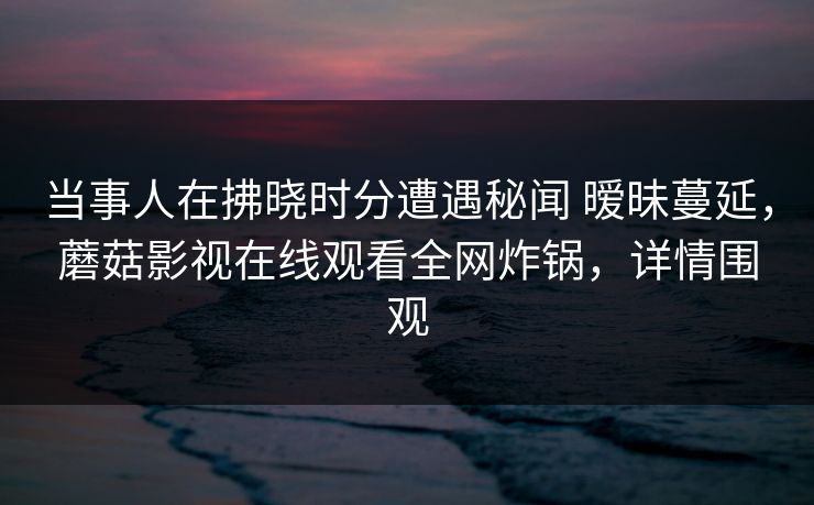 当事人在拂晓时分遭遇秘闻 暧昧蔓延,蘑菇影视在线观看全网炸锅,详情围观